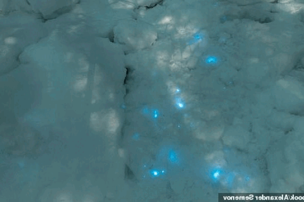 Bí ẩn ánh sáng xanh kỳ ảo xuất hiện trên tuyết trắng ở Nga
