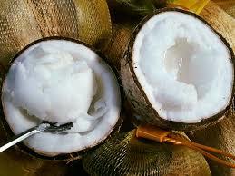 Chính thức cấp “Giấy khai sinh” cho giống cây dừa sáp, đặc sản của Trà Vinh
