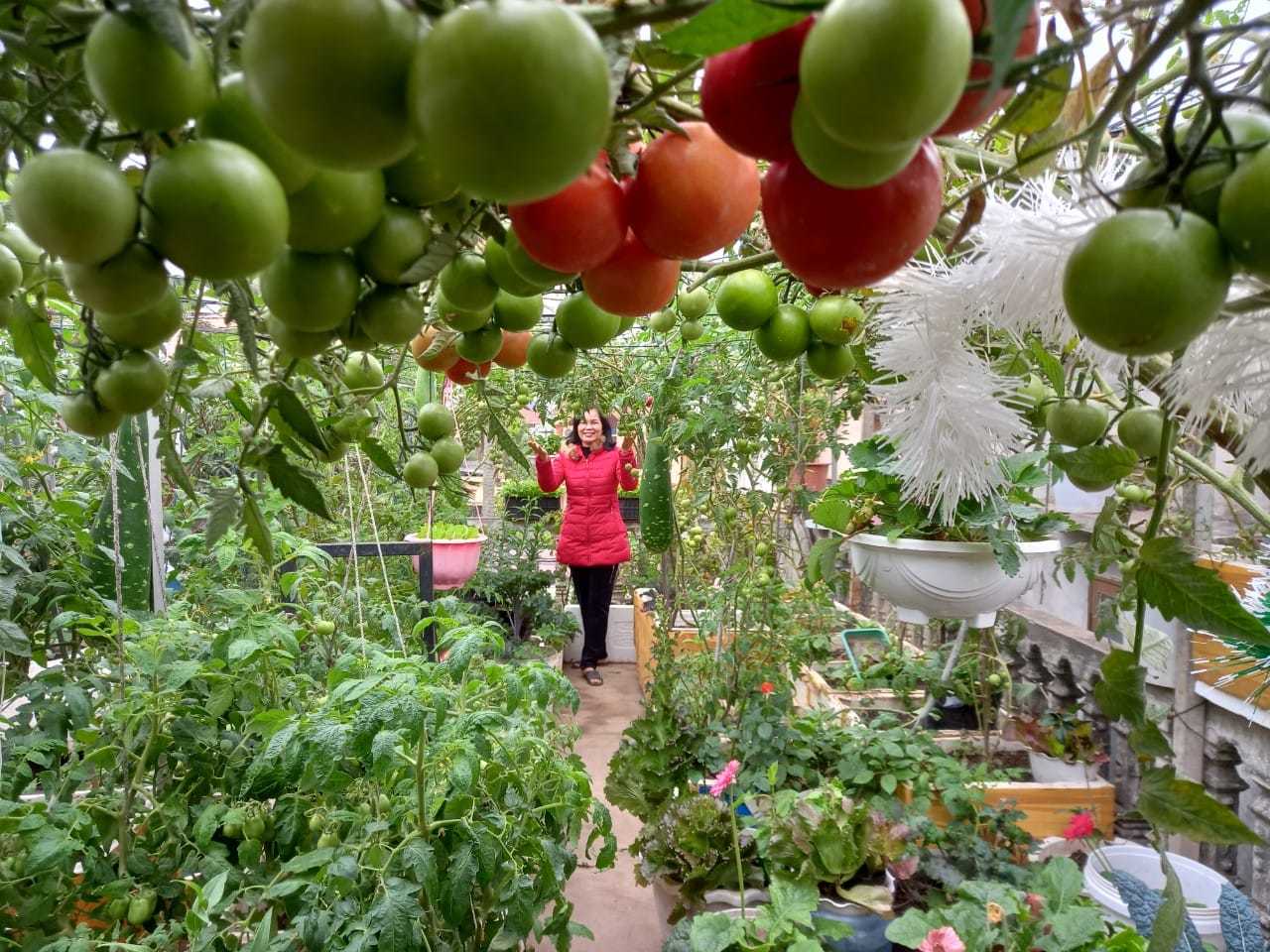 Chi vốn 500K, bà mẹ Hải Phòng tạo dựng 'khu vườn bí mật' trên sân thượng cho con gái sống ảo