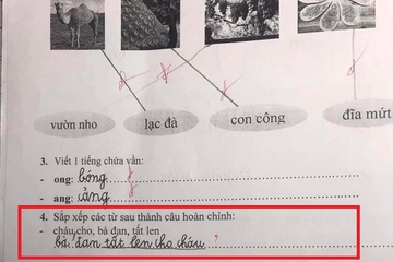 Đáp án bài tập tiếng Việt lớp 1 của giáo viên khiến phụ huynh hoang mang