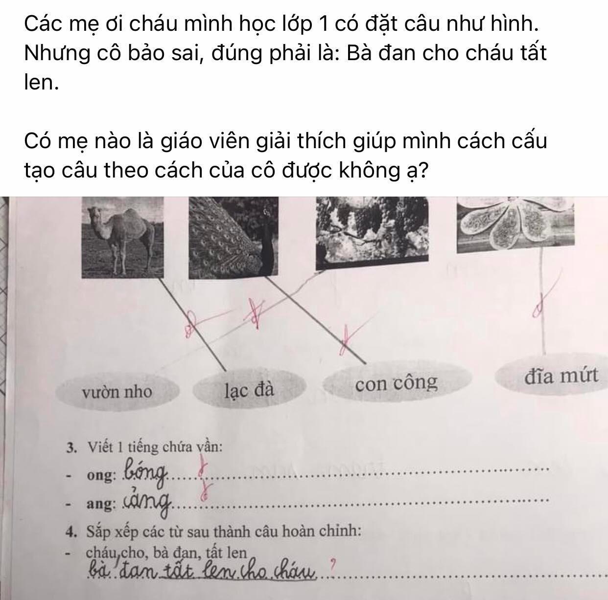 Đáp án bài tập tiếng Việt lớp 1 của giáo viên khiến phụ huynh hoang mang