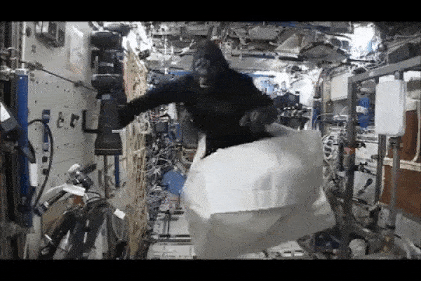 Phi hành gia mang bộ đồ khỉ đột lên Trạm vũ trụ quốc tế ISS