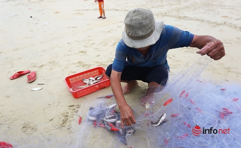 cá khoai,ngư dân,Quảng Nam