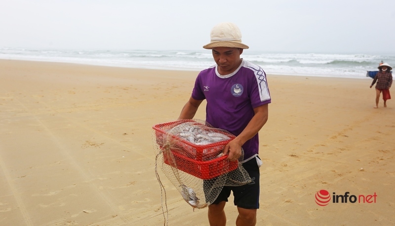 Trúng mùa cá khoai, ngư dân xứ Quảng thu nhập tiền triệu mỗi ngày
