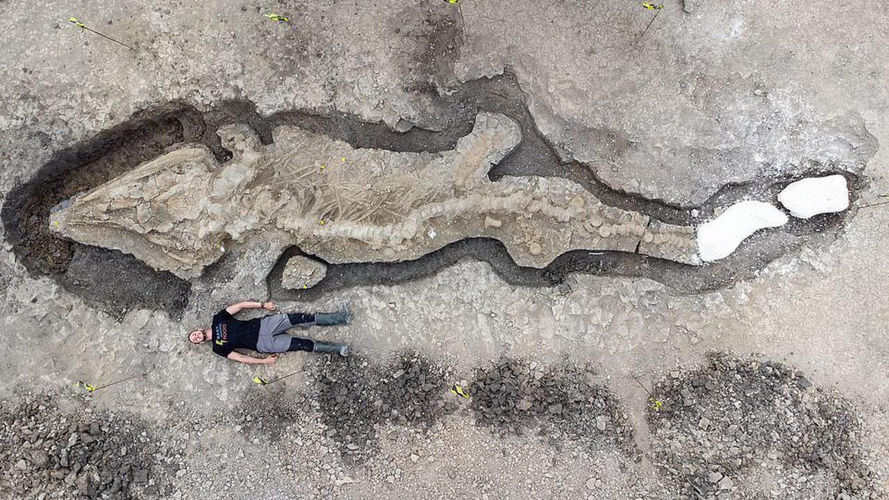 Phát hiện bộ xương hoàn chỉnh về rồng biển khổng lồ dưới đáy hồ nước