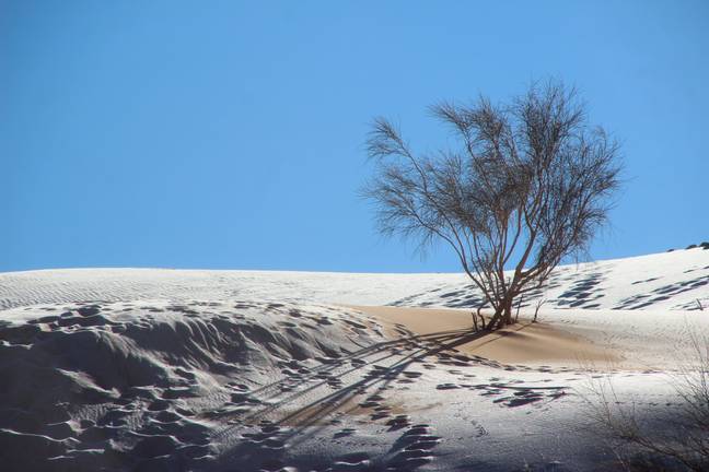 Tuyết rơi nhiều biến sa mạc Sahara thành xứ sở mùa đông - Ảnh 1.