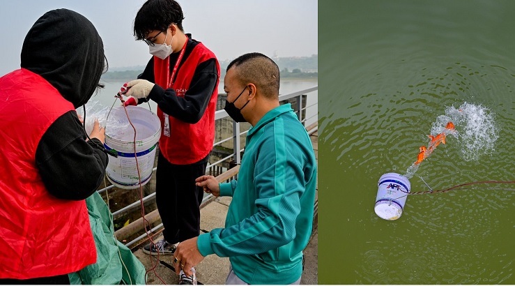 Bớt cảnh ném, quăng cá ở cầu Long Biên trước ngày 23 tháng Chạp