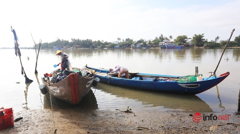 Độc đáo làng nghề tách ruột hến bên sông Trường Giang