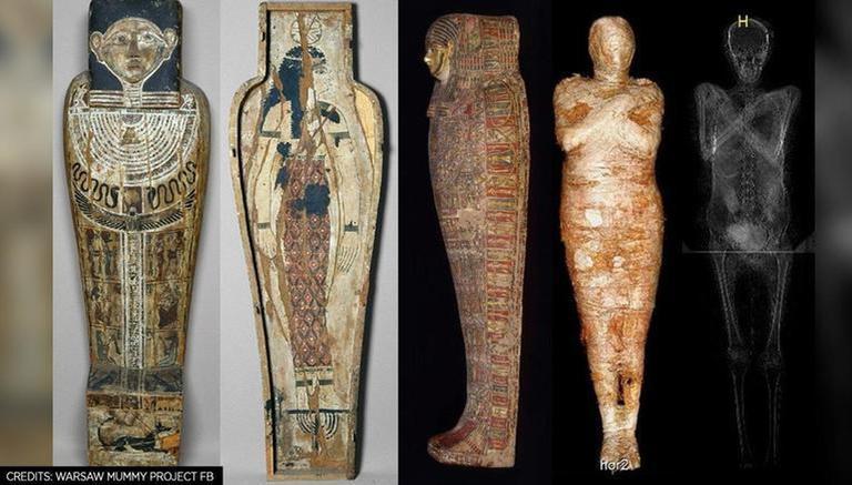 Bào thai nguyên vẹn trong bụng xác ướp Ai Cập 2.000 năm