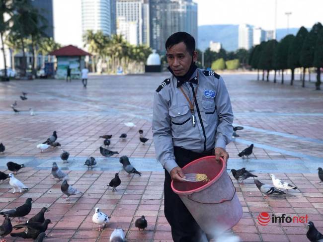 Gặp người đàn ông cả thập kỷ chăm sóc chim bồ câu trong Công viên Biển Đông, lễ Tết cũng không nghỉ
