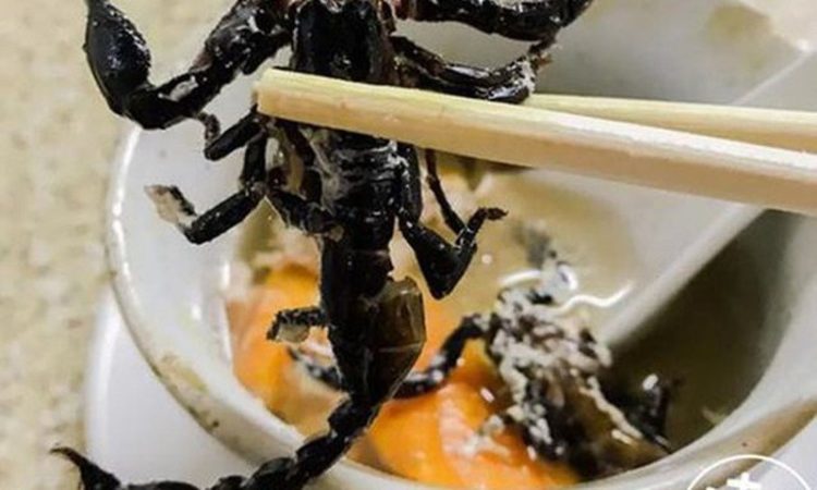 Súp bọ cạp nguyên con, món ăn khiến thực khách phải đổ mồ hôi hột vì sợ