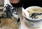 Súp bọ cạp nguyên con, món ăn khiến thực khách phải đổ mồ hôi hột vì sợ