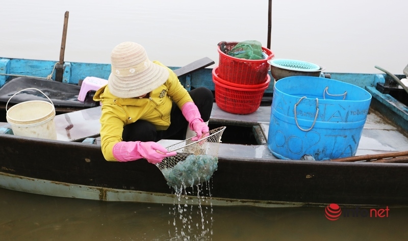 Đêm hôm mò mẫm trên sông vớt 'vàng trắng', ngư dân Quảng Nam bỏ túi tiền triệu mỗi ngày