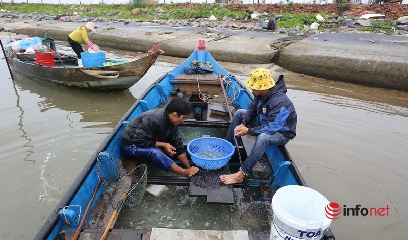 Đêm hôm mò mẫm trên sông vớt 'vàng trắng', ngư dân Quảng Nam bỏ túi tiền triệu mỗi ngày