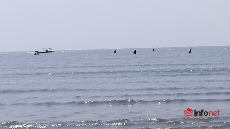 Nghề đi giật lùi kéo con vỏ cứng kiếm vài trăm mỗi ngày của người dân vùng biển