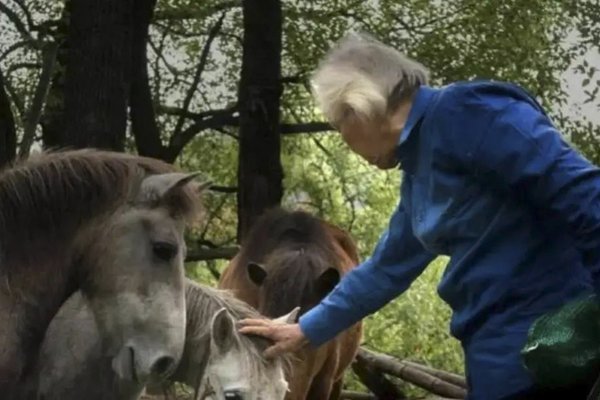 Cảm phục cụ ông lấy lương hưu duy trì 'sở thú cô độc nhất thế giới' suốt hơn 30 năm