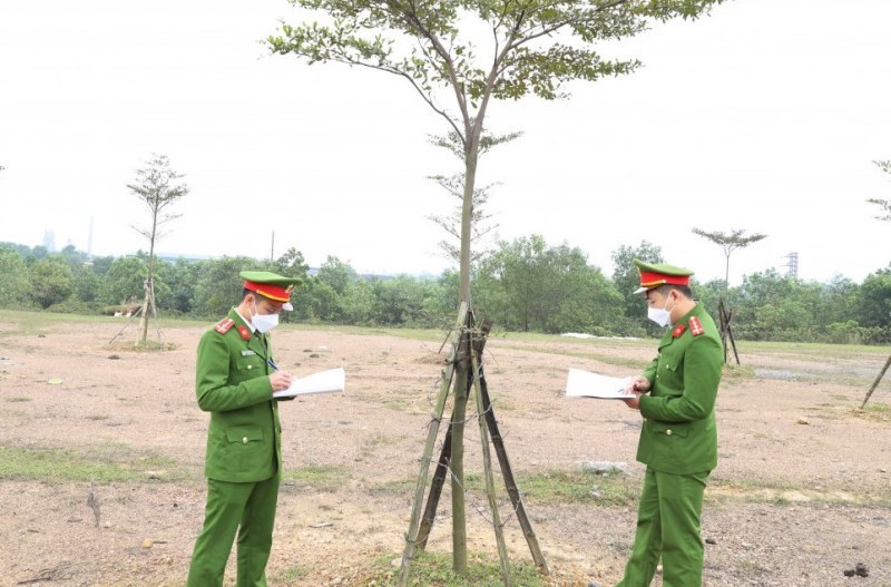 Hà Tĩnh: Triệu tập các đối tượng chặt phá cây xanh công cộng