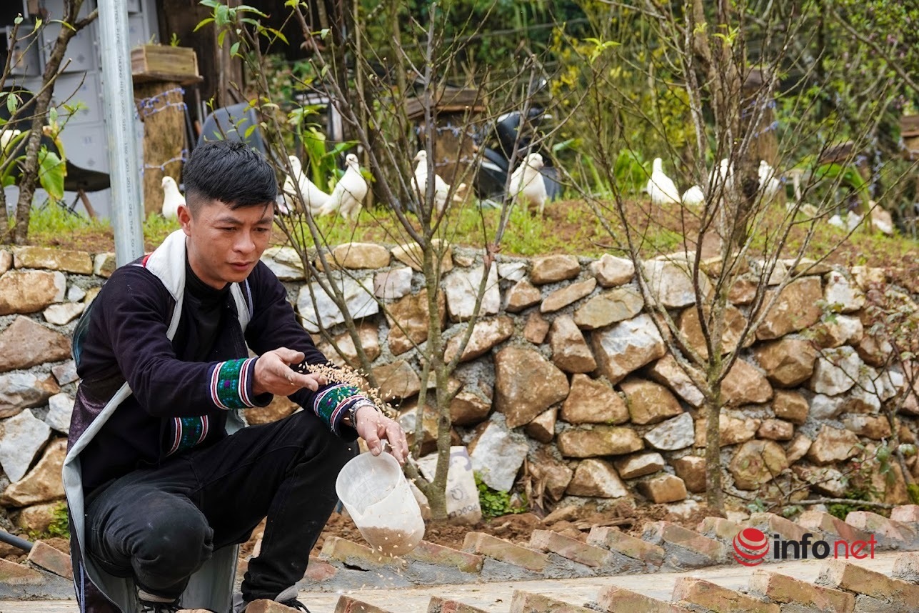 Chàng trai mở 'khu vườn cổ tích' từ mảnh đất trống vườn nhà, khách nô nức check in đem về cho chủ tiền tỷ