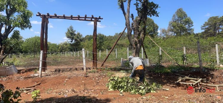 Race to hunt for land along rivers, streams, ponds, making land prices in Buon Ma Thuot also increase abnormally, virtual fever