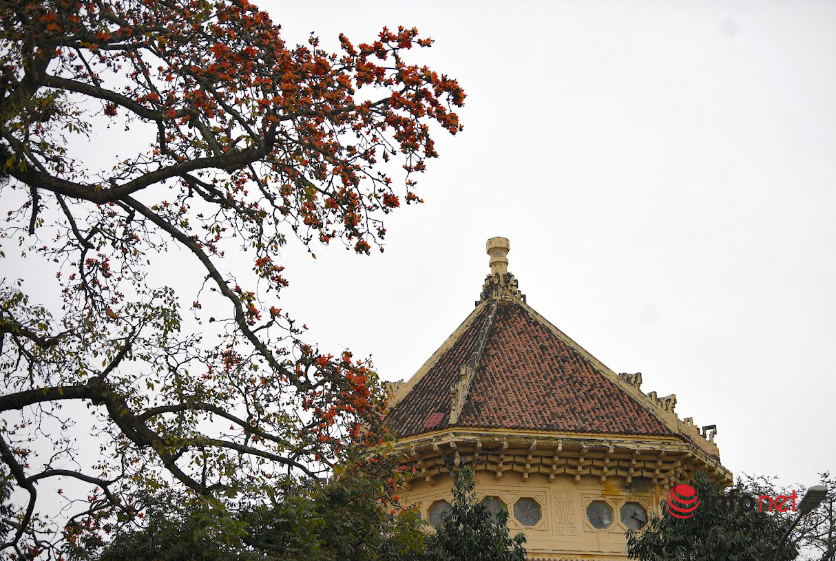 Red rice flowers stand out against the sky, there are picturesque 'Hanoi corners'