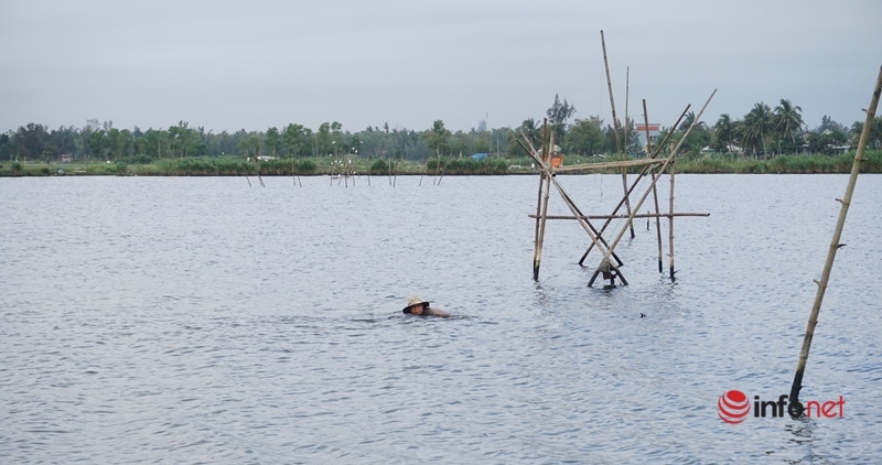 Nhọc nhằn dầm nước từ rạng sáng tới trưa chiều kéo cả tạ hến, thu nhập nửa triệu mỗi ngày