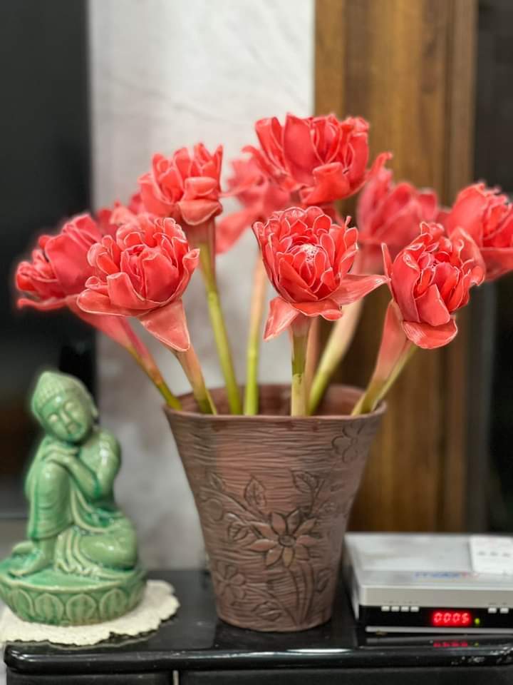 Strange flowers just plug and play, drop hot pot, boil water, many people love to order