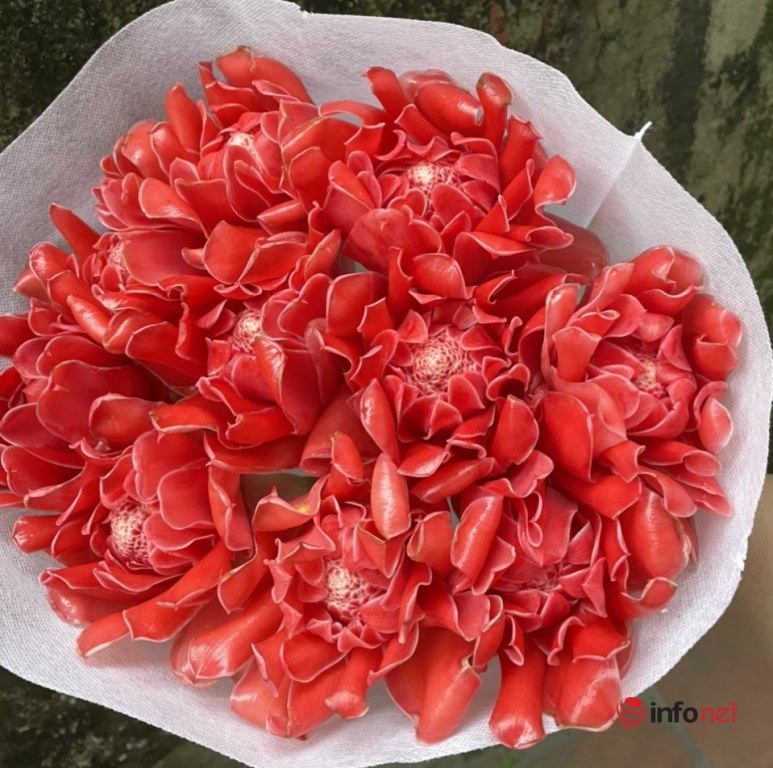 Strange flower can both play and make hot pot dishes, boil water, many people love to order