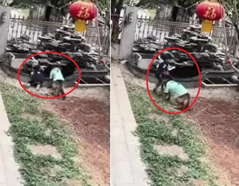 The dog surprised netizens: 'Oh my god, why is it so smart?'