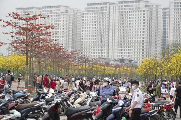 Hanoi: Thousands of people crowded around noon to take pictures with maple flowers