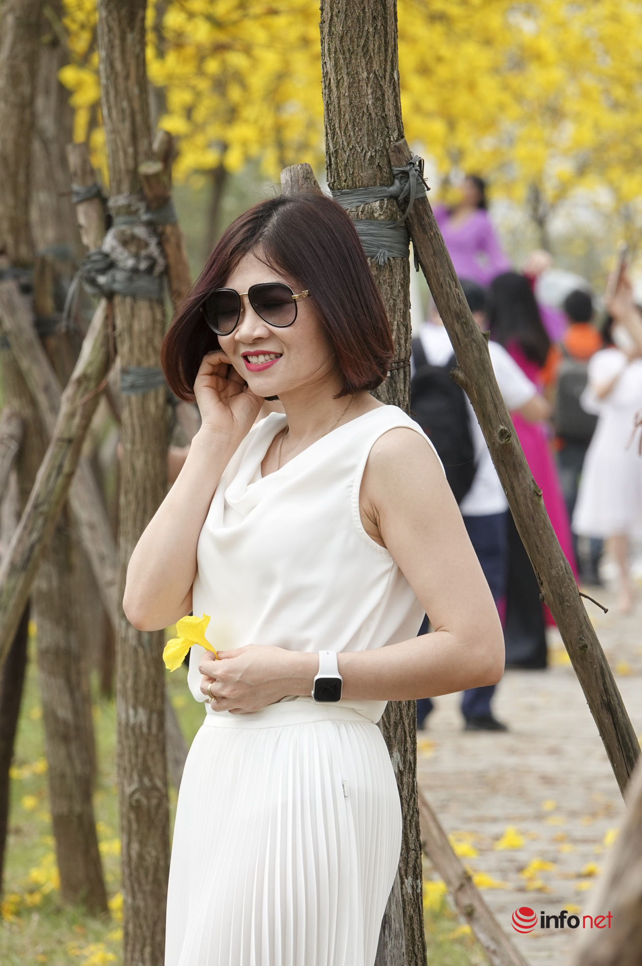 Hà Nội: Hàng nghìn người xuyên trưa chen chân chụp ảnh dưới hàng hoa phong linh vàng rực rỡ