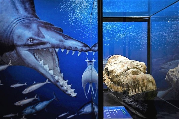 Sea monster skull reveals terrifying predator that once lived on Earth