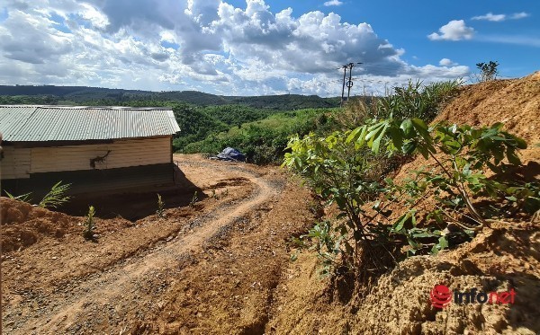 Lãnh đạo huyện Đắk Glong thông tin về quyết định thu hồi hàng chục ha đất cấp trái phép