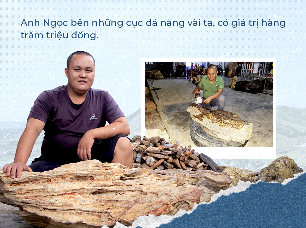 The mystery of the fossil wood kingdom on the Gia Lai plateau