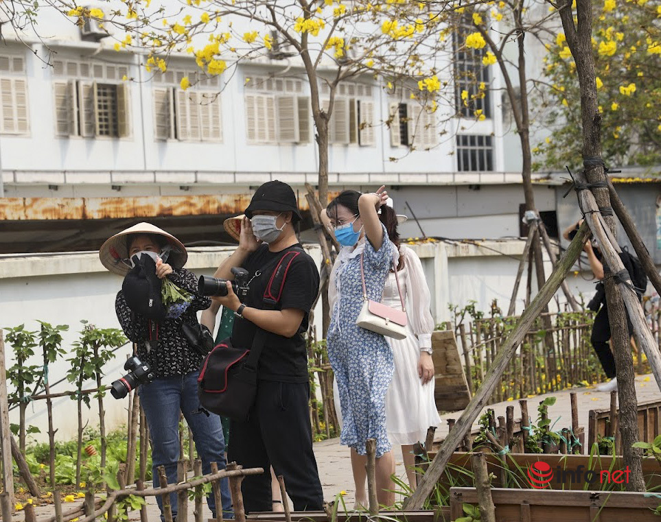 Hanoi appeared a new flower street, thousands of people came to take pictures at the weekend