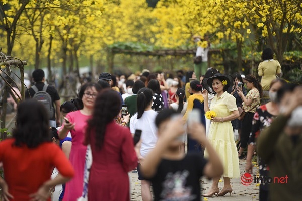 Hanoi: New Phong Linh flower street appeared, thousands of people came to take pictures at the weekend