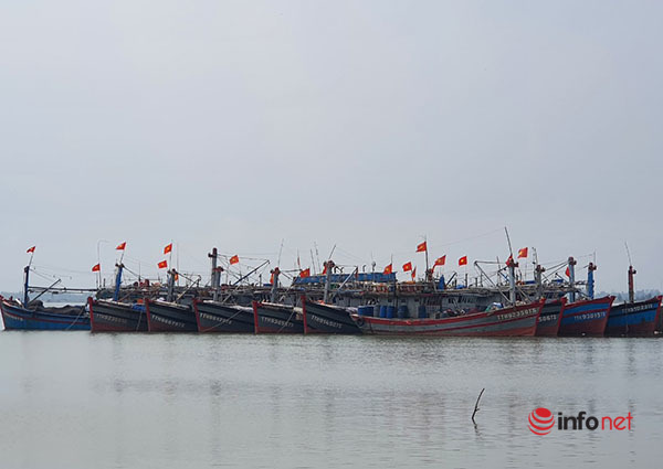 Thừa Thiên - Huế,Đánh bắt xa bờ,nghề biển,ngư dân