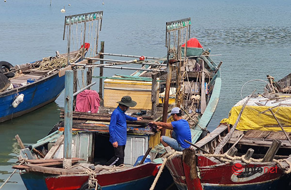 Thừa Thiên - Huế,Đánh bắt xa bờ,nghề biển,ngư dân