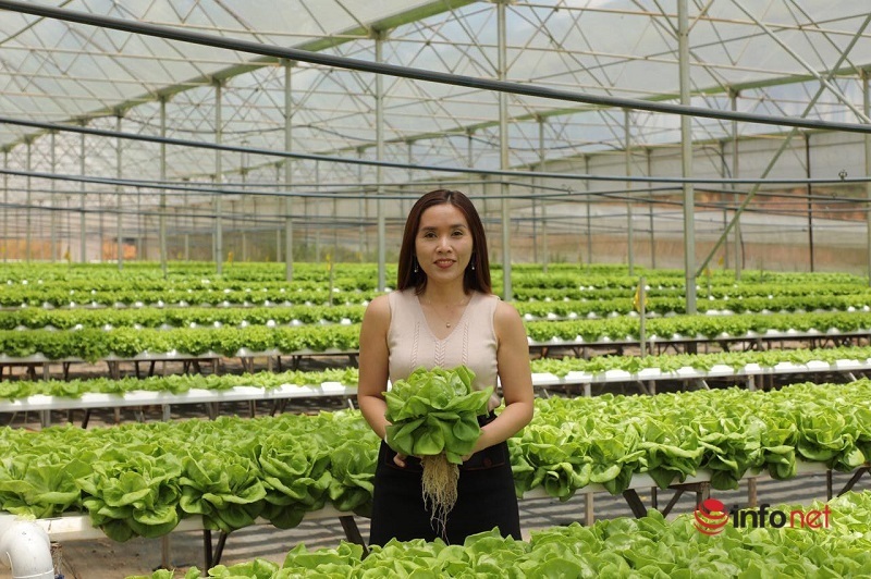 When she quit her job and was given 40 million VND by her boss, the female secretary decided to be a farmer and learned valuable lessons when starting a business.