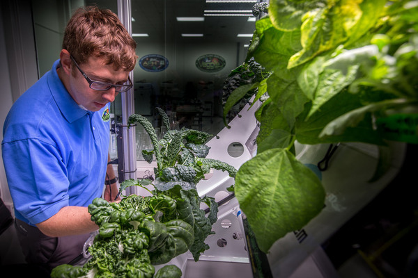 Lettuce helps astronauts improve health during long-term mission to Mars