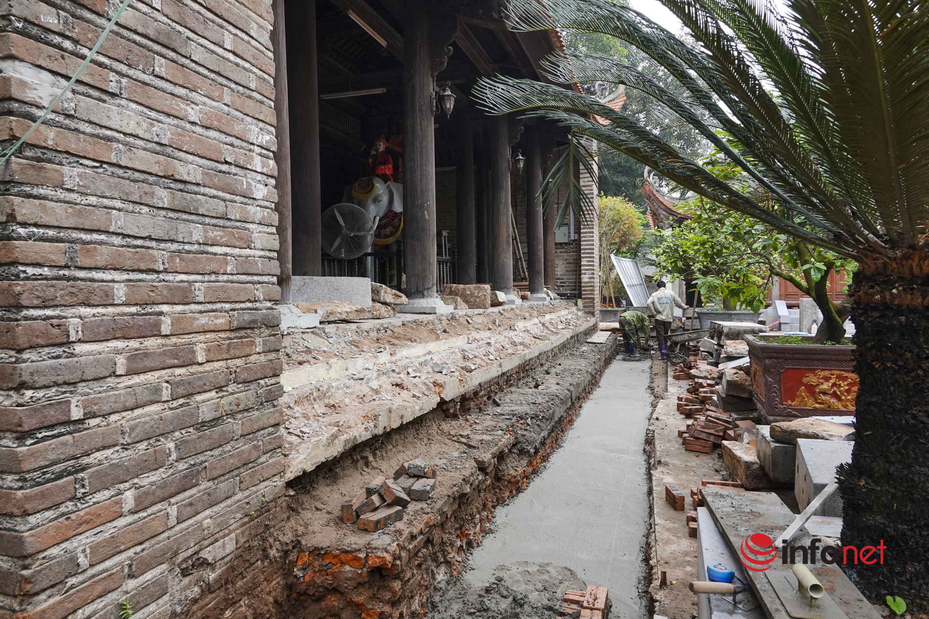 Hà Nội: Tu sửa đình cổ hơn 2000 năm, chặt cây đa lớn khiến người dân xót xa, UBND phường nói gì?