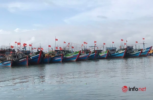 Hue: Fishing output decreased, service fishing boats worked hard to maintain jobs for more than 500 workers