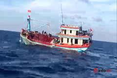 Huế: Sản lượng đánh bắt giảm, tàu cá dịch vụ nỗ lực hoạt động duy trì việc làm cho hơn 500 lao động