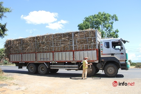 Dak Lak: Overloaded sugarcane trucks ‘key each other’ to avoid traffic police