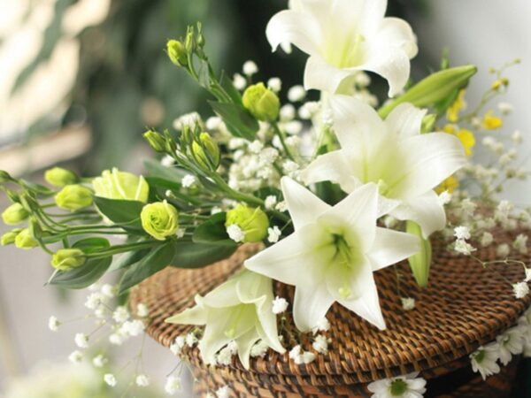 How to arrange beautiful and poetic lilies