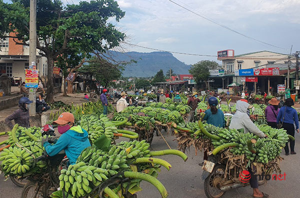 Mục sở thị chợ chuối mật mốc, hàng trăm xe máy 'họp' giữa ngã ba đường ở Quảng Trị