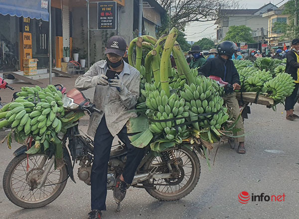 Mục sở thị chợ chuối mật mốc, hàng trăm xe máy 'họp' giữa ngã ba đường ở Quảng Trị