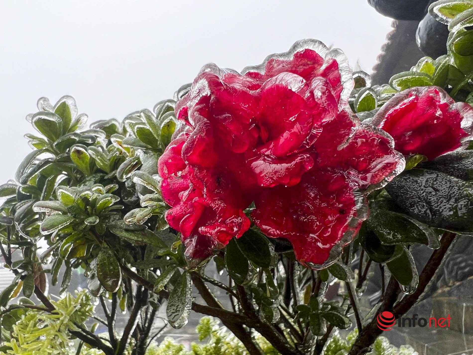 At the end of spring, ice still covers the top of Fansipan