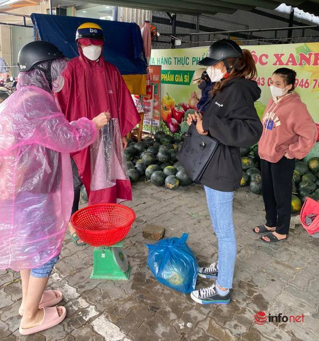 Người dân đội mưa đi “giải cứu” dưa hấu Quảng Nam bị mưa ngập, nhiều điểm tặng dưa miễn phí, hàng chục tấn hết veo