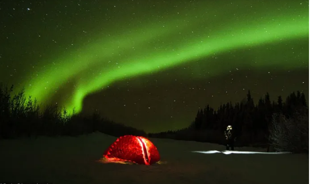 Take inspiration from polar bears to create a one-of-a-kind shelter