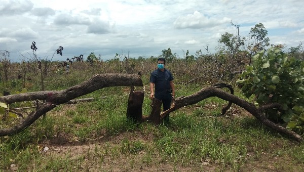 Phá rừng quy mô rất lớn tại huyện vùng biên Đắk Lắk, khẩn trương truy tìm 'lâm tặc'